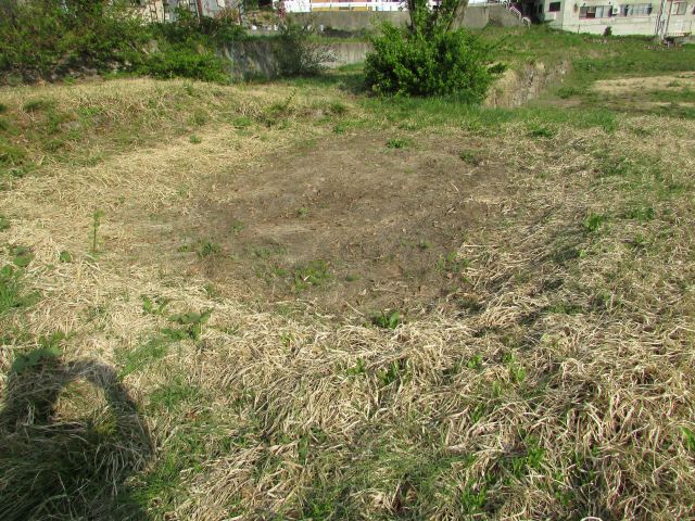 nozawa-onsen_land_for_sale長野県土地