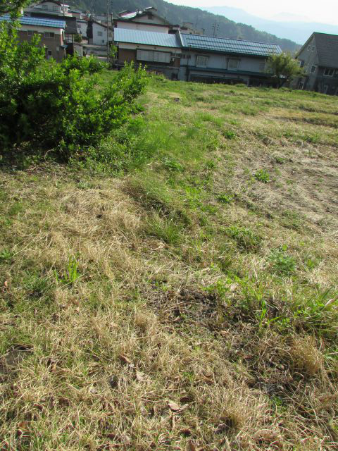 nozawa-onsen_land_for_sale長野県土地