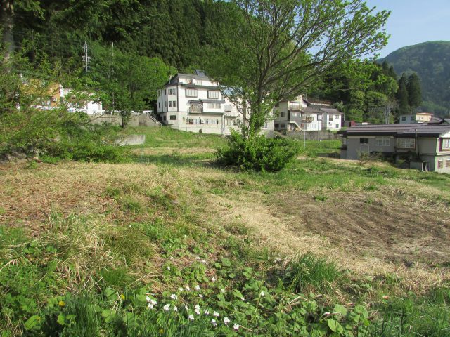 nozawa-onsen_land_for_sale長野県土地