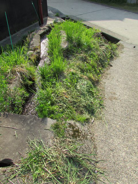 nozawa-onsen_land_for_sale長野県土地