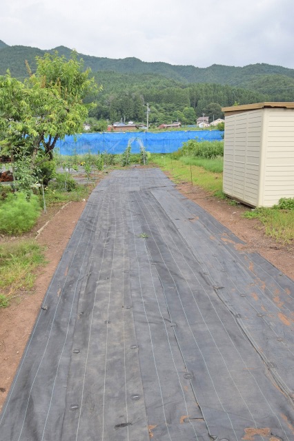  湯田中・渋温泉