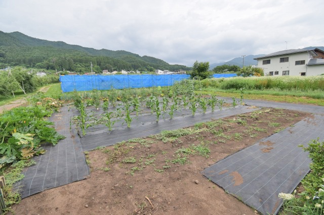  湯田中・渋温泉