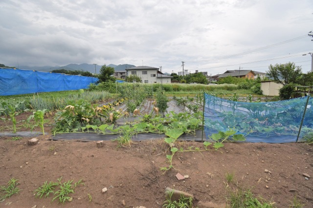  湯田中・渋温泉
